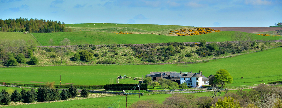 Panorama of The Arches at Borthwick